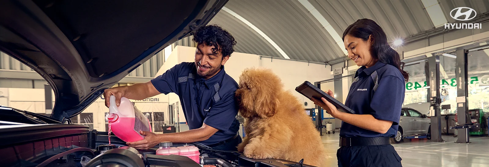 Hyundai servicio posventa